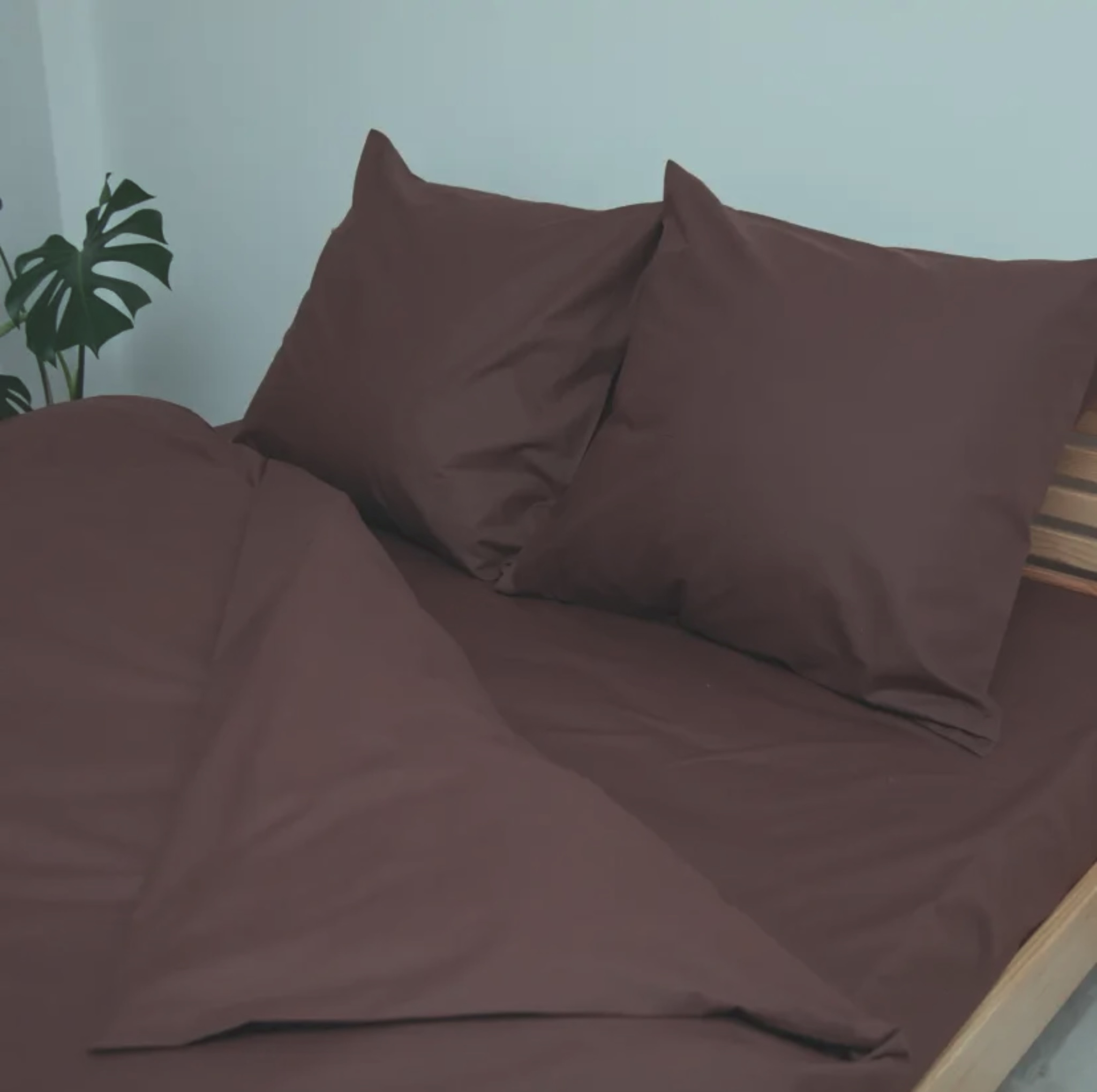 изображение_viber_2025-12-22_23-01-23-047